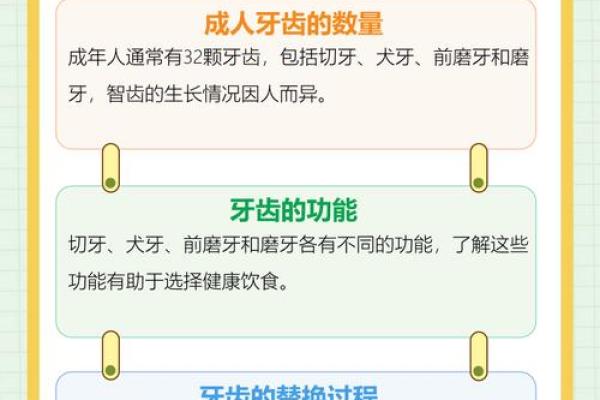 牙齿数量算命，牙齿算命图解
