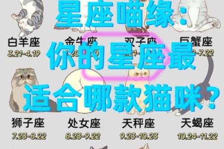 白羊座和哪个星座适合当兄弟姐妹