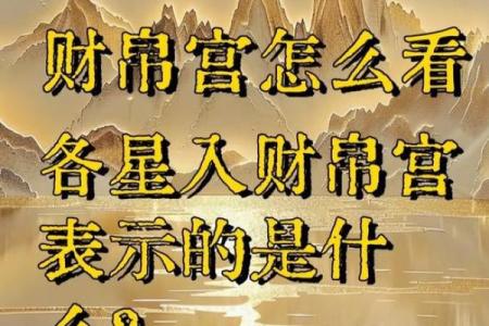 王思聪紫薇斗数
