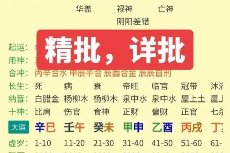 八字财星透