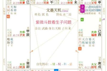 紫薇斗数今日运势