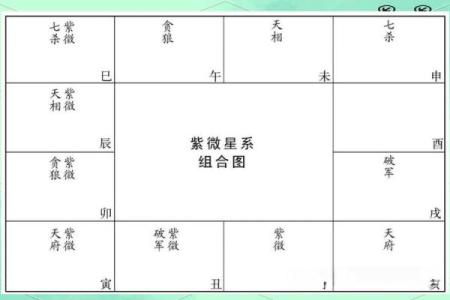 紫薇星数十二宫怎么排