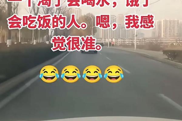 为算命分手