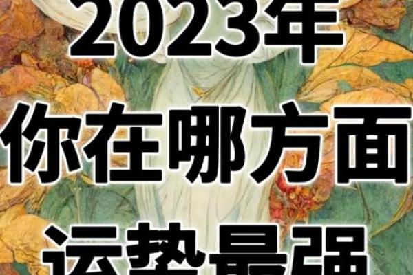 塔罗测试：你有聚财的运势吗？