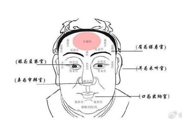 面相风水鼻头大的男人好不好是长寿命吗