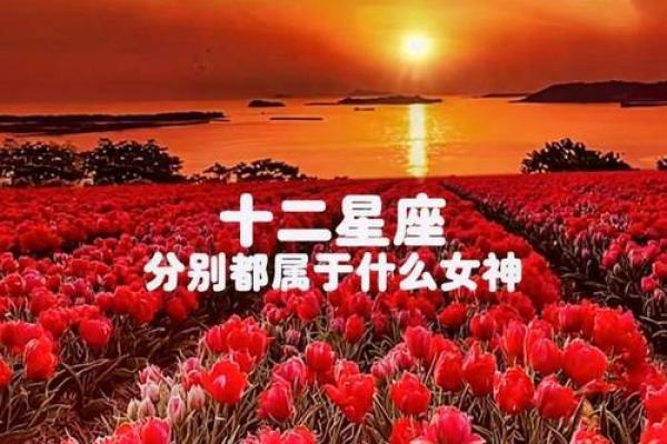 2月5号出生是哪个星座的贵人