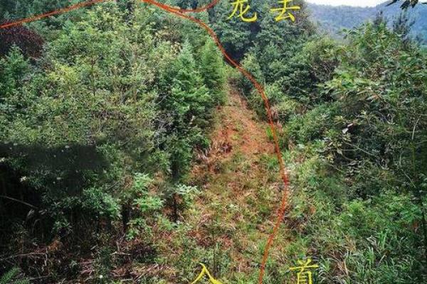 真龙正穴之风水宝地的大小问题