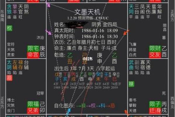 紫薇斗数看学业流年