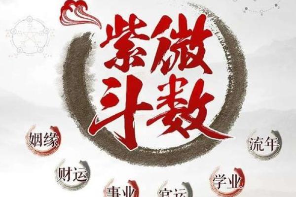 紫薇斗数看学业流年