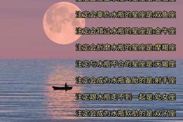 水瓶座的合适星座