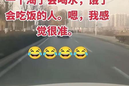 为算命分手