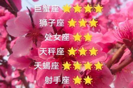 属羊的每个月星座运势如何