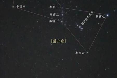 11颗星组成的星座有哪些