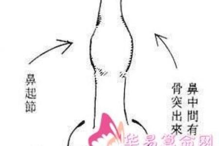 面相奇术：摸骨看面相算命口诀