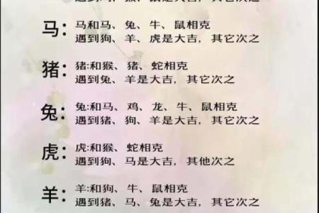 生肖性格测试：十二生肖强意思大揭秘！
