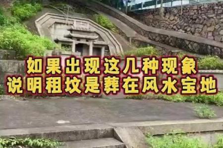 城市风水_别人的祖坟要葬在我家地里