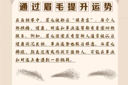 面相风水女人十大富贵眉毛你有吗