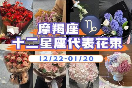 十二星座最合适的花