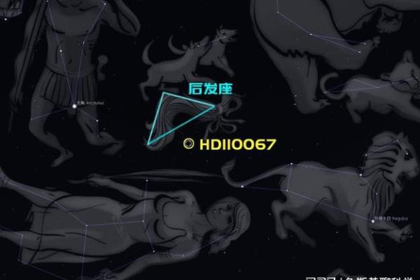 起来最亮的行星是哪个星座