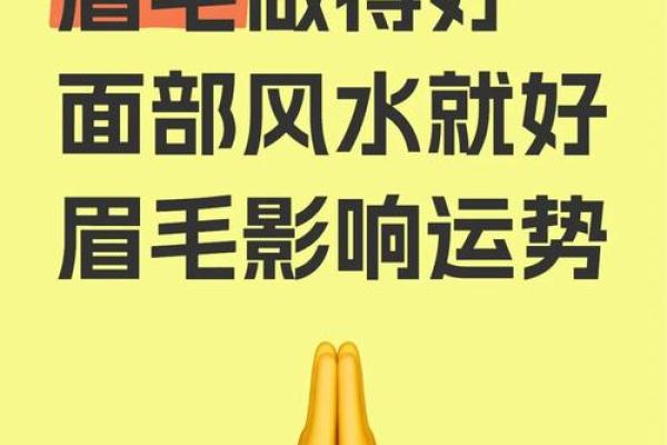 刮眉毛风水