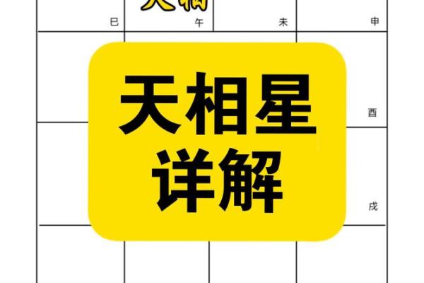 墨斗天机紫薇斗数