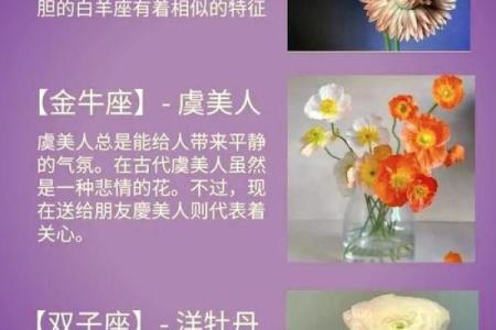 十二星座分别代表的花都有哪些呢