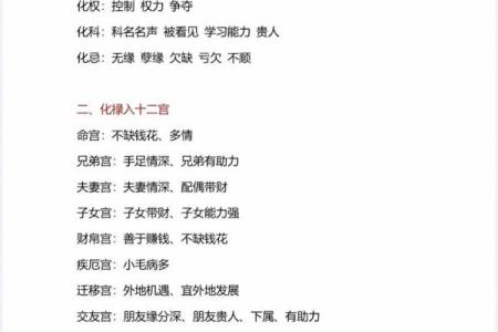 紫微斗数引出禄 紫薇命盘禄是什么意思？