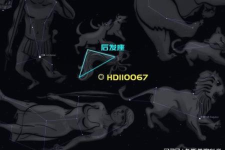 起来最亮的行星是哪个星座