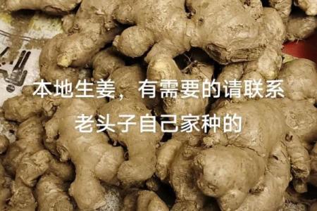 家种姜风水好吗