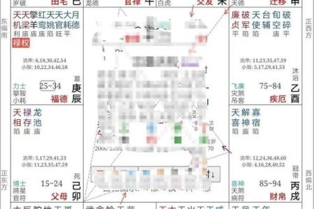 紫薇斗数排盘可靠吗