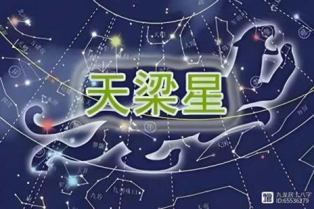 八字太阳天梁是什么意思,太阳天梁性格