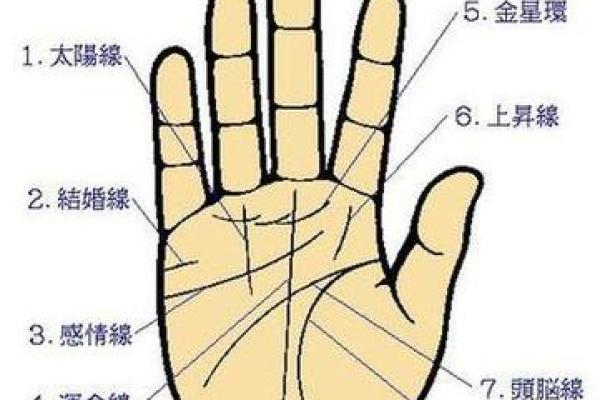 凯帝阿手相算命图解大全07