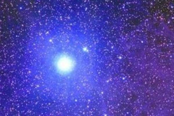 年天降紫薇星全文