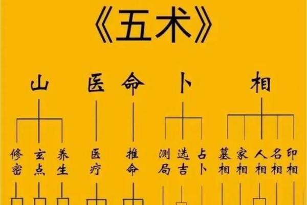 名人紫薇斗数格局