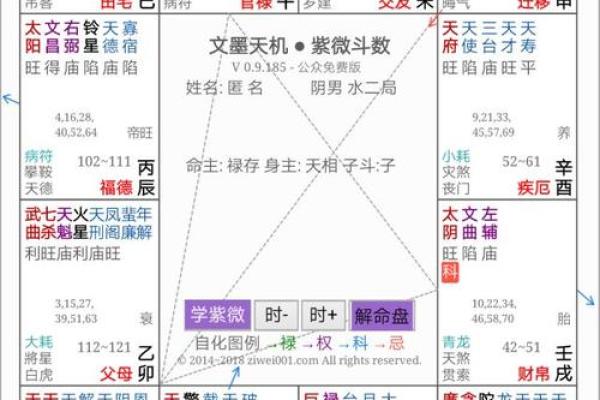 名人紫薇斗数格局