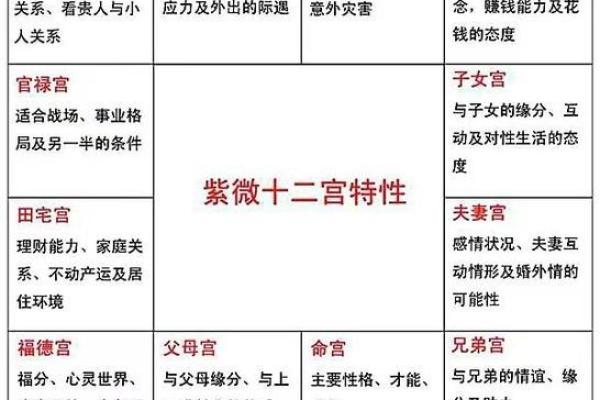 紫微斗数二婚胜过第一婚 教你从子女宫看二婚配偶