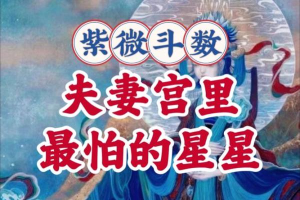 紫微斗数二婚胜过第一婚 教你从子女宫看二婚配偶
