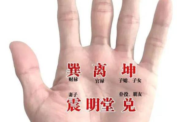 在线扫一扫测手相算命,扫一扫测手相算命免费