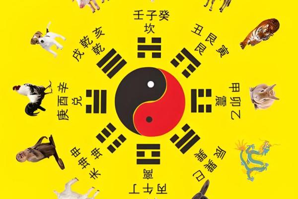 怎么看八字旺不旺