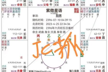 紫薇斗数和塔罗牌分别