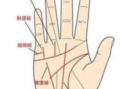 凯帝阿手相算命图解大全07