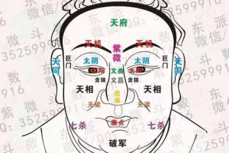 紫薇斗数中多个星哪个为主星