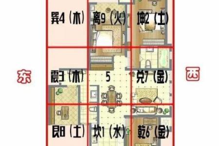 纯南向房子风水