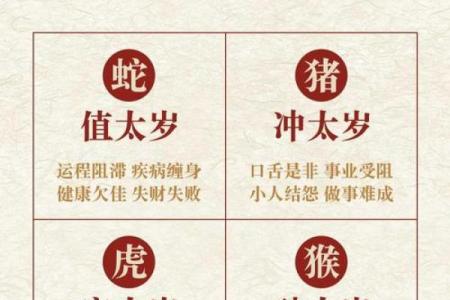 名字测试虎年吉凶打分