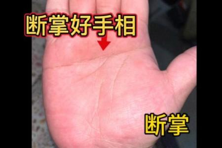 女人断掌手相算命图解