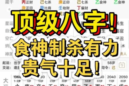 八字-食神总论