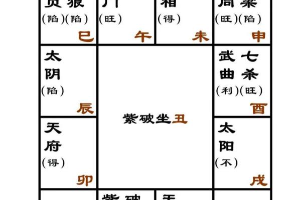 pdf紫薇斗数全书下载