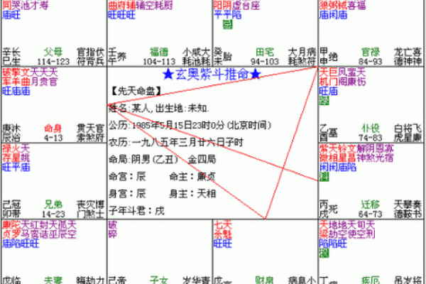 紫薇斗数中什么叫同度