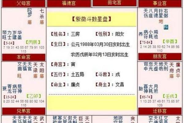 紫微斗数诸星落诸宫之:子女宫 紫微斗数诸星落诸宫之:子女宫