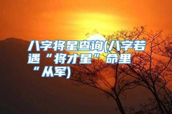 八字中的将星是什么 八字将星是什么